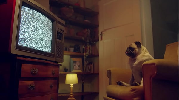 Fantasie and Emily Pink in Wild Lesbian Action | Benefit Monkey