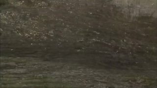 taylor rain enjoy raw sex SQF