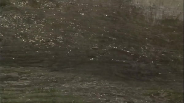 taylor rain enjoy raw sex SQF